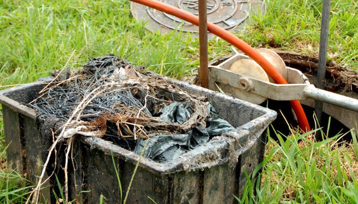  E depois da descarga? Como o descarte incorreto pode fazer o esgoto invadir sua casa